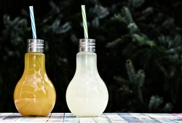 Juice Bottle (Apple, Mango, Orange)